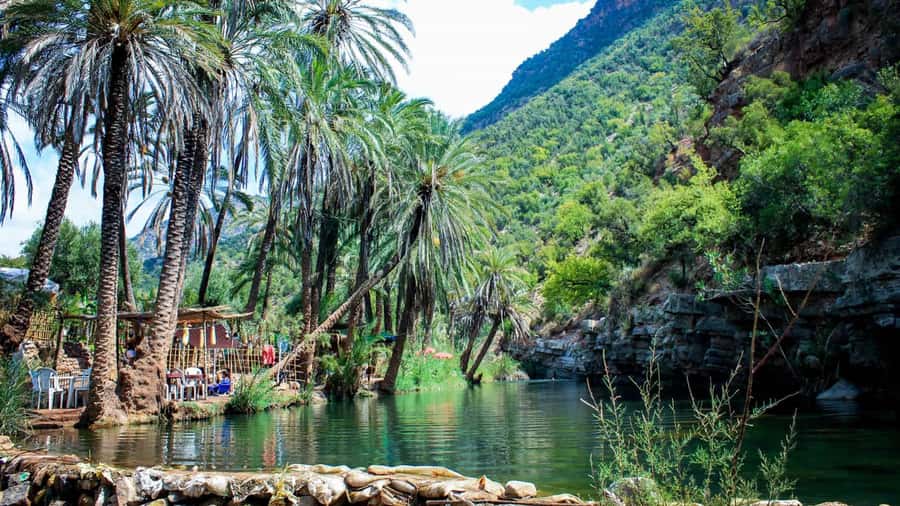 Agadir: Guided Excursion to Paradise Valley - Streams, palms, and limestone gorges