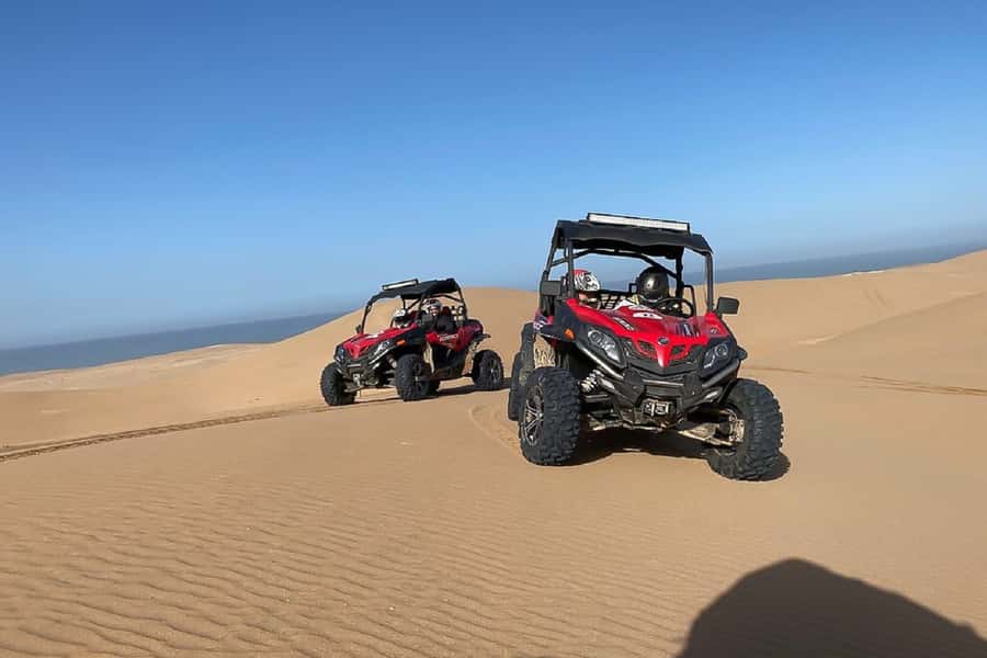 Agadir: Half-Day Desert Dunes Buggy Safari - Forest tracks before the sand