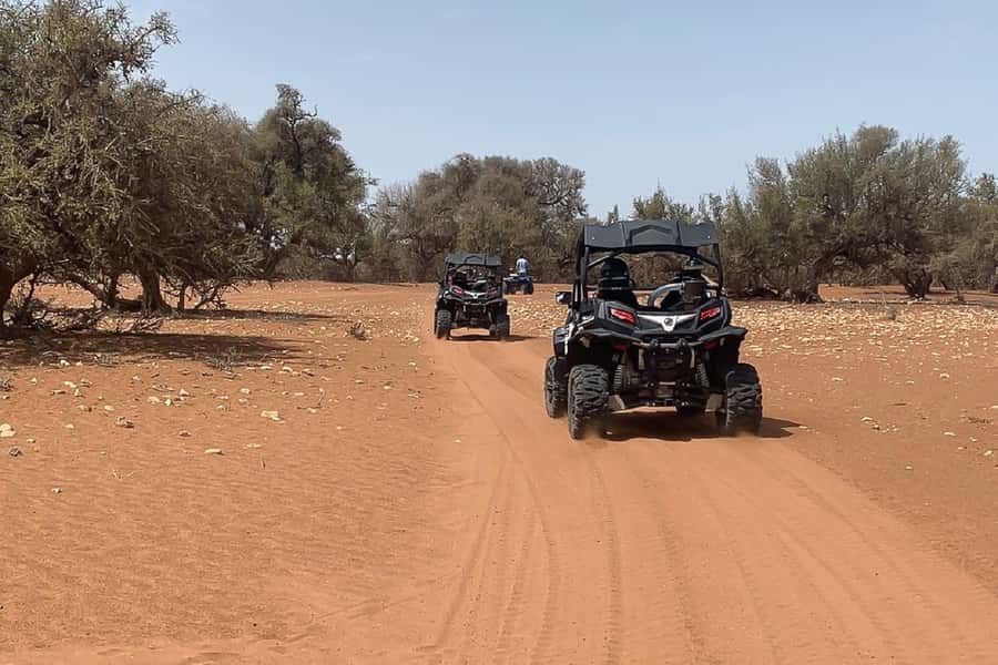 Agadir: Half-Day Desert Dunes Buggy Safari - Who will enjoy this Agadir buggy safari?