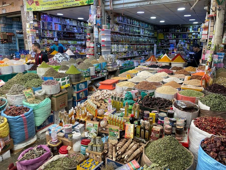 Agadir: Half-Day Guided Tour - The guide makes a big difference