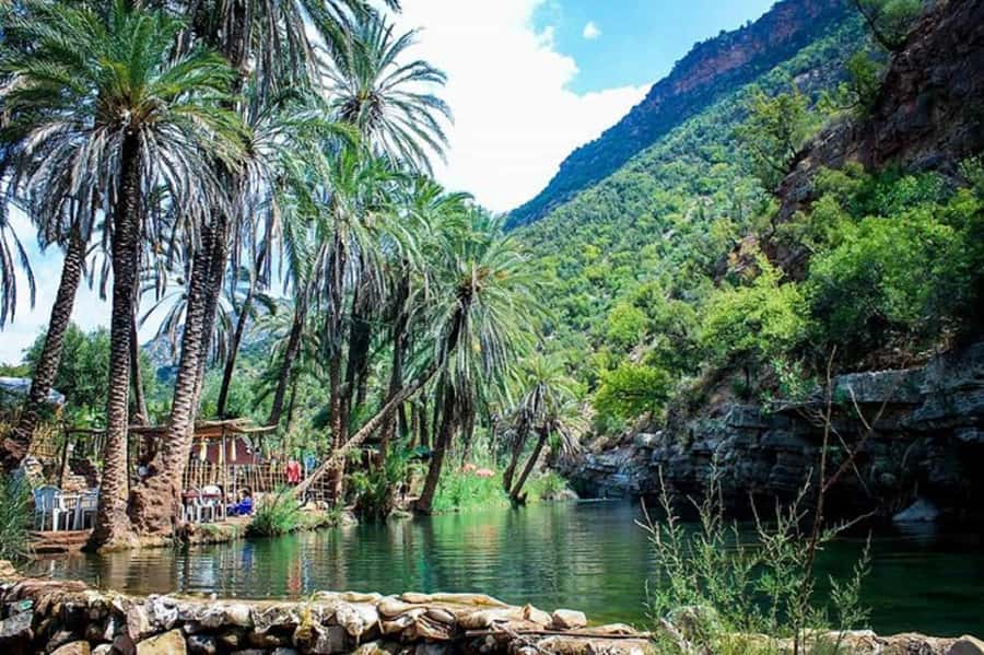 Agadir :Half day Paradise Valley & Atlas Mountains Tour - What $17 really gets you