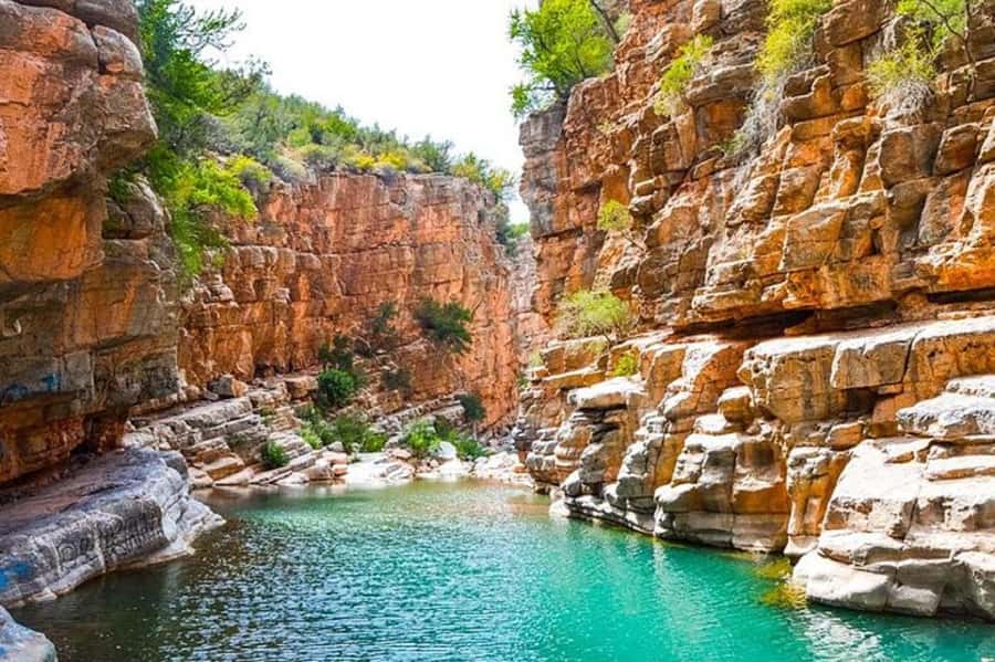 Agadir :Half day Paradise Valley & Atlas Mountains Tour - Who will enjoy this outing most