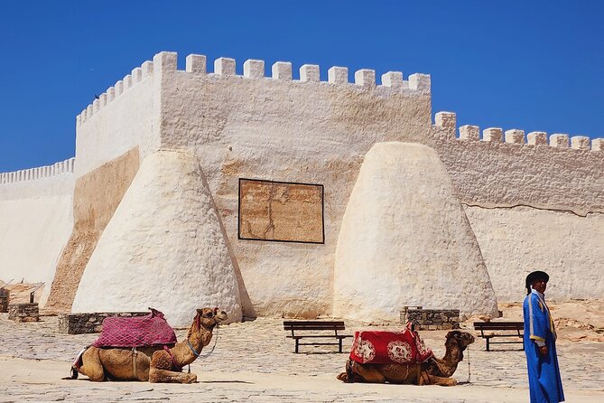 Agadir Half-Day Tour - Kasbah Oufella and the story of the earthquake