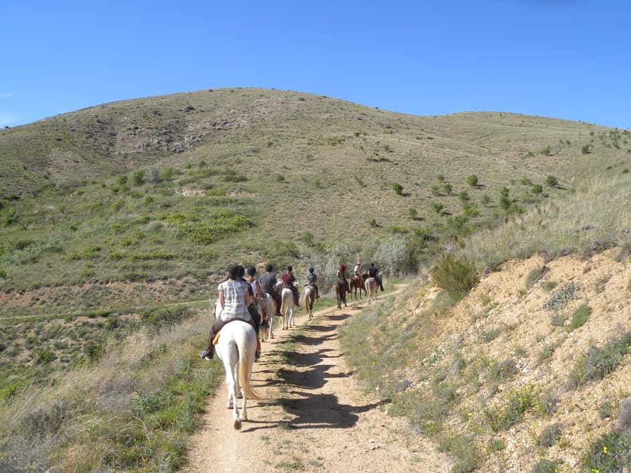 Agadir Horse Riding visite the flamingo river with tea drink - From dunes to eucalyptus trees and beach