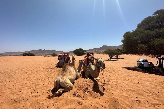 Agadir Jeep Safari Sahara Desert 4x4 Day Tour with Lunch - The Youssef Ben Tachfine Dam finale
