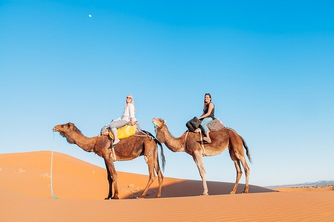 Agadir or taghazout : 4×4 Jeep Sahara Desert Trip with Lunch - What this Agadir desert trip really offers