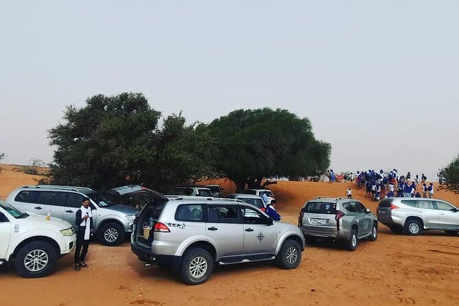 Agadir or taghazout : 4×4 Jeep Sahara Desert Trip with Lunch - Youssef Ben Tachfine Dam and the return road
