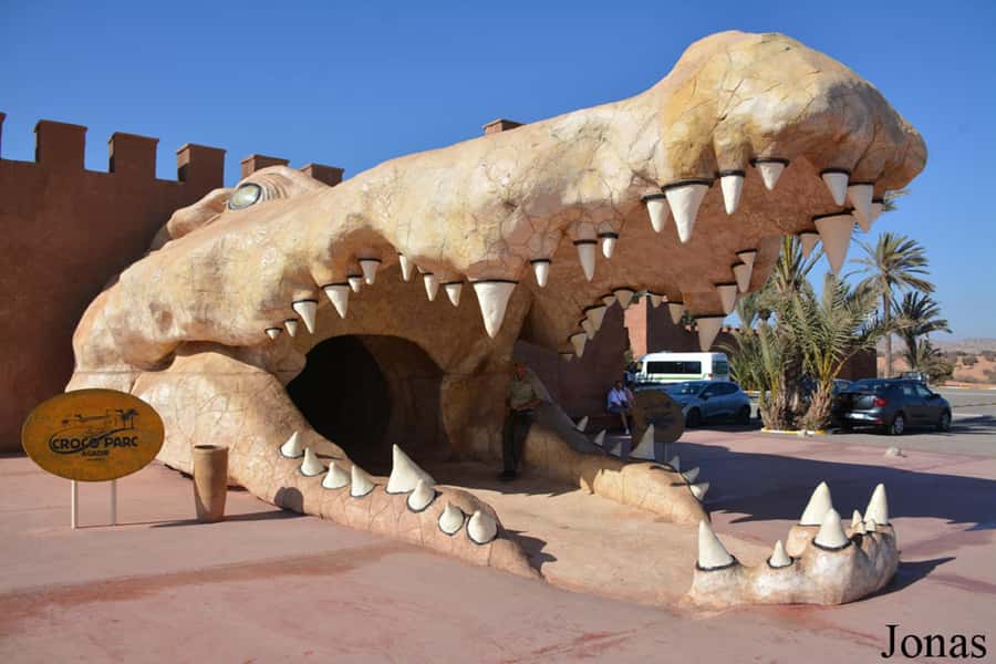 Agadir or Taghazout: Goat on Trees and Crocoparc with Pickup - Handling the tip request with ease