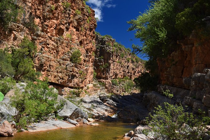 Agadir or Taghazout: Paradise Valley Atlas Mountain Swimming Trip - Swimming in the natural pools