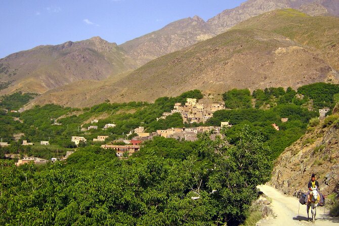 Agadir or Taghazout: Paradise Valley Atlas Mountain Swimming Trip - What the $18.58 price really buys