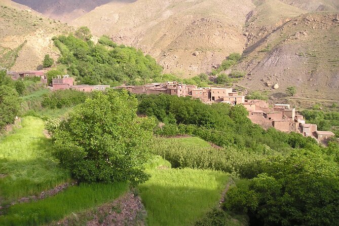 Agadir or Taghazout: Paradise Valley Atlas Mountain Swimming Trip - Argan oil, plants, and village life