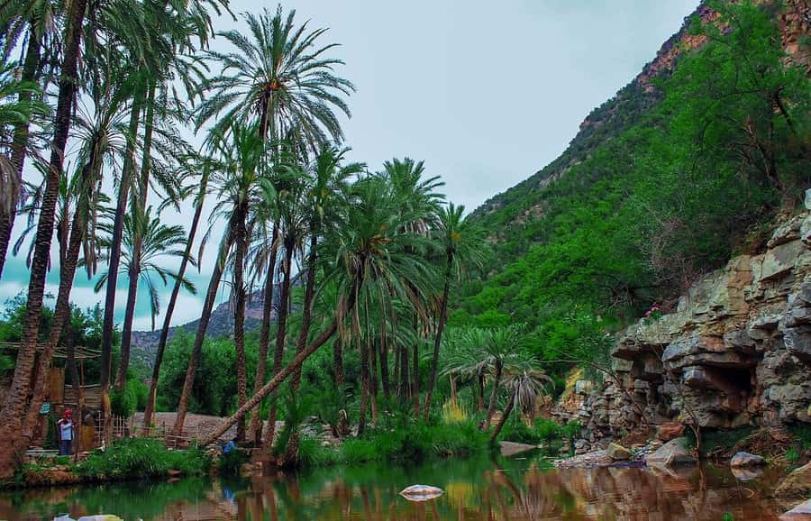 Agadir or Taghazout: Paradise Valley Atlas Mountain Trip - Key points to know before booking