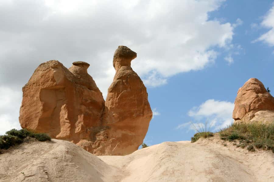 Agadir or Taghazout: Paradise Valley Atlas Mountains - Guide language and the feel of the day