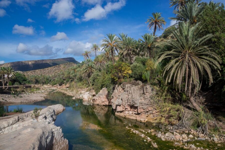 Agadir or Taghazout: Paradise Valley Atlas Mountains Tour - Swimming, relaxing, and optional rock jumps