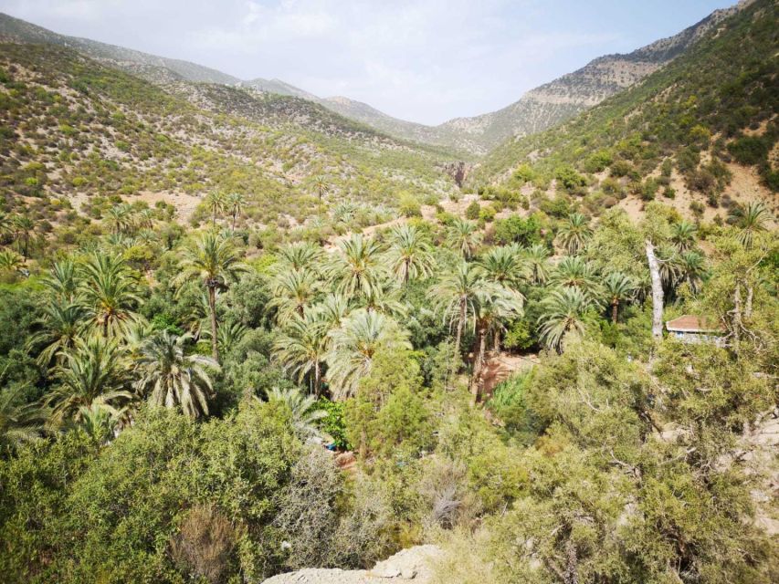 Agadir or Taghazout: Paradise Valley Atlas Mountains Tour - The honey road, villages, and photo stops
