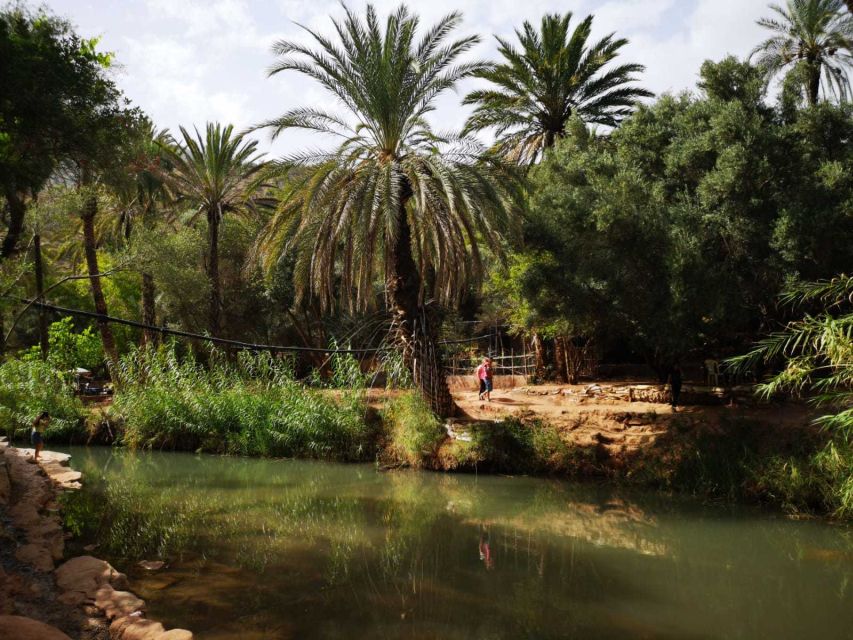 Agadir or Taghazout: Paradise Valley Atlas Mountains Tour - Lunch, drinks, and the real cost