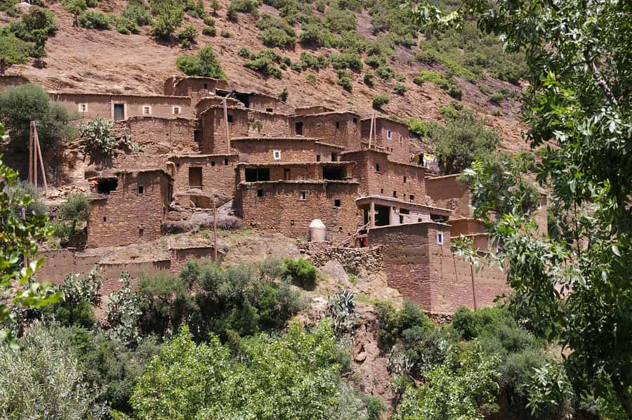 Agadir or Taghazout: Paradise Valley & Atlas Mountains Trip - Lunch, snacks, and the limits of a six-hour trip