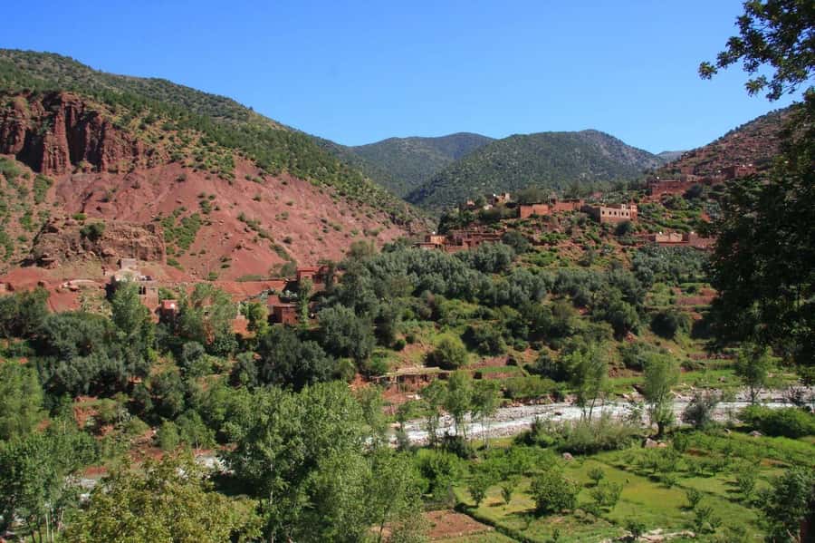Agadir or Taghazout: Paradise Valley Atlas Mountains Trip - The drive along Immouzar’s Honey Road