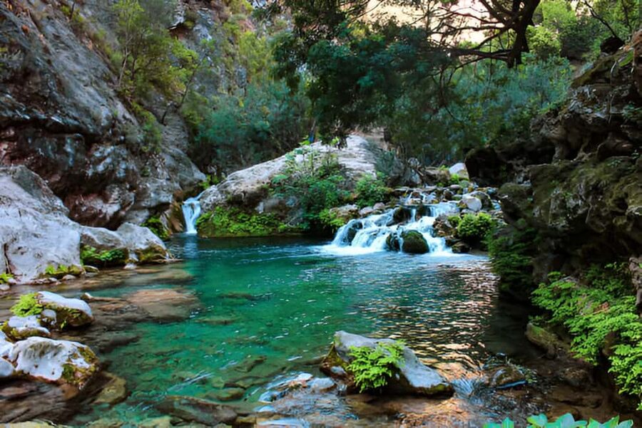 Agadir or Taghazout: Paradise Valley with Lunch & Transfers - Key points to know before booking