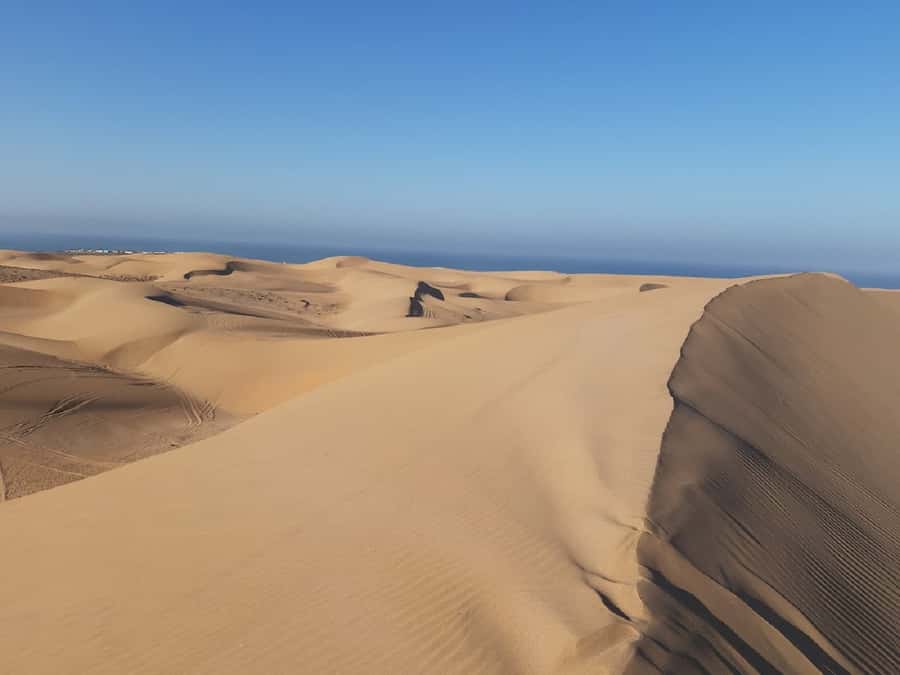 Agadir: Paradise Valley & Desert Sand Dunes with Camel Ride - A Moroccan lunch near Tamri