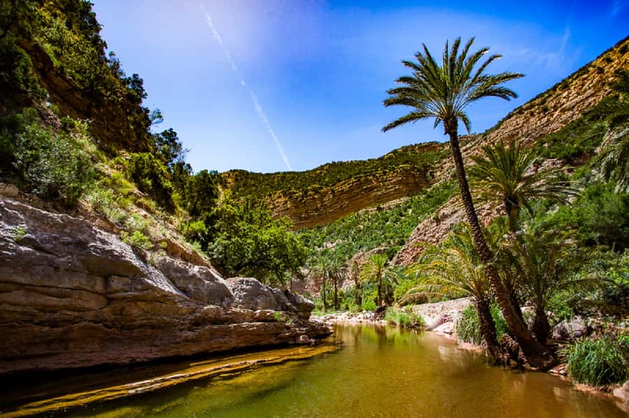 Agadir: Paradise Valley & Desert Sand Dunes with Camel Ride - Timlalin’s dunes and the Atlantic horizon