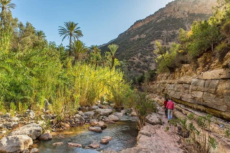 Agadir: Paradise Valley & Desert Sand Dunes with Camel Ride - Alma’s argan garden and the first taste of local life