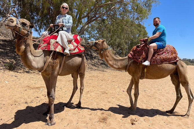 Agadir Quad ATV Adventure Tour with Berber Tea Experience - Should you book Quad Nourdine?