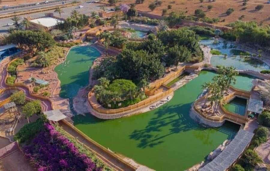 Agadir: Quad Bike Safari Desert With Moroccan Tea - What to wear and bring