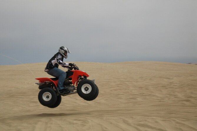 Agadir Quad Biking - Sand dunes, argan trees, and rural Berber country