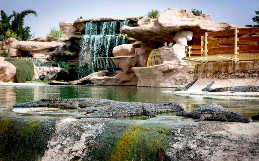 Agadir: Quad Safari with Crocoparc Optional - A half-day built around dust, goats, and crocodiles
