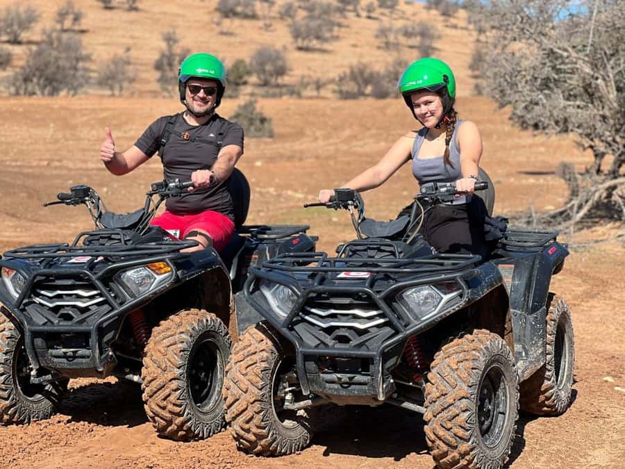 Agadir: Quad Safari with Crocoparc Optional - The goats in the argan trees are the memorable pause