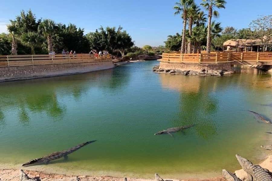 Agadir: Quad Safari with Crocoparc Optional - Choosing the order: Crocoparc first or quads first
