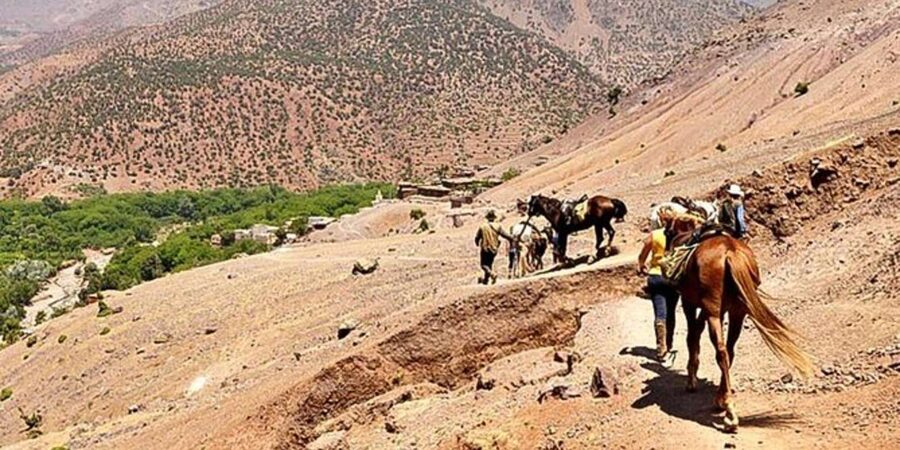 Agadir: Quad Safari with Crocoparc Optional - The price makes sense for families and first-time riders