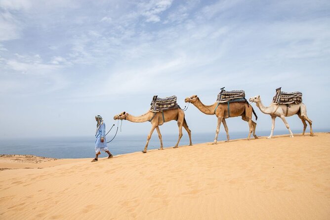 Agadir Sand Dunes and Camel Ride in Tifnit with Lunch - Reaching the dunes and meeting the camels
