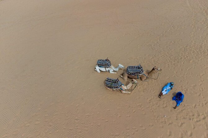 Agadir Sand Dunes and Camel Ride in Tifnit with Lunch - What the seven-hour schedule feels like
