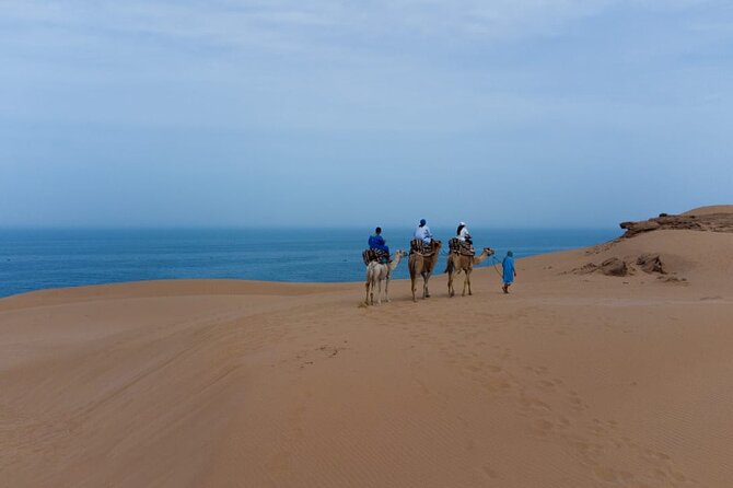 Agadir Sand Dunes and Camel Ride in Tifnit with Lunch - Who will enjoy this outing most