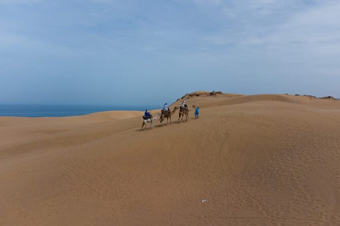 Agadir Sand Dunes and Camel Ride in Tifnit with Lunch - Is $114.98 a fair price?