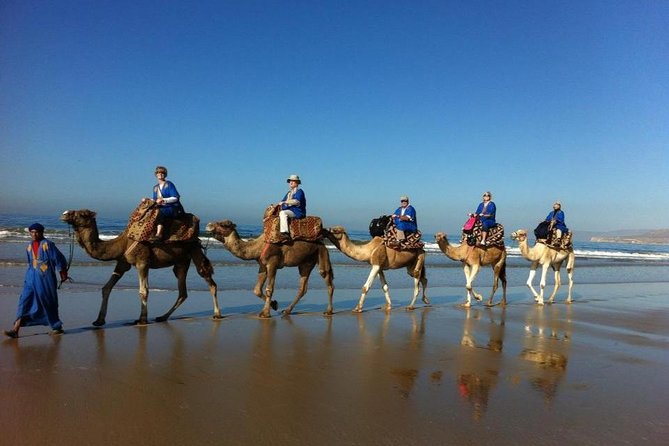 Agadir Sunset Camel Ride with Delicious Couscous & Barbecue - Key details before you book