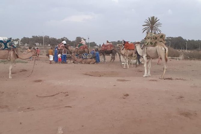 Agadir Sunset Camel Ride with Delicious Couscous & Barbecue - Leaving Agadir for the Oued Souss River