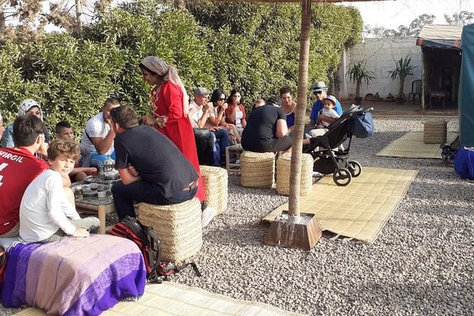 Agadir Sunset Camel Ride with Delicious Couscous & Barbecue - Comfort, safety, and family suitability