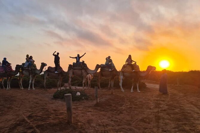 Agadir Sunset Camel Ride with Moroccan Barbecue & Hotel Transfers - Why this Agadir evening works