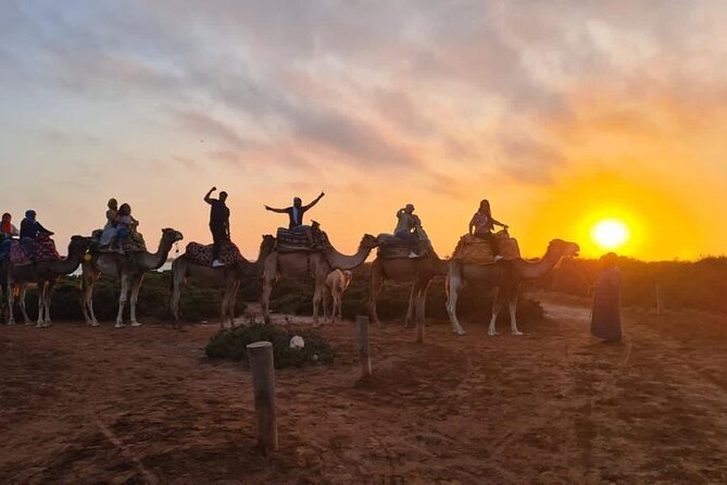 Agadir Sunset Camel Ride with Moroccan Barbecue & Hotel Transfers - What the $41 price really covers