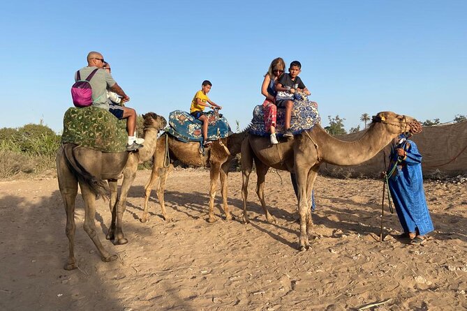 Agadir Sunset Camel Ride with Moroccan Barbecue & Hotel Transfers - Useful booking details before you decide