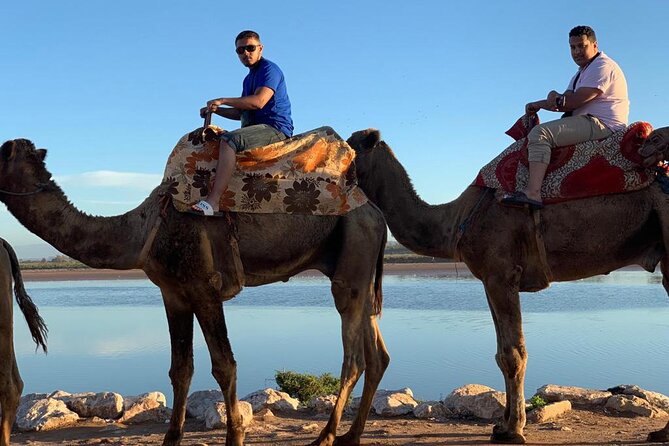 Agadir Sunset Camel Ride with Moroccan Barbecue & Hotel Transfers - Ninety minutes beside the Souss River