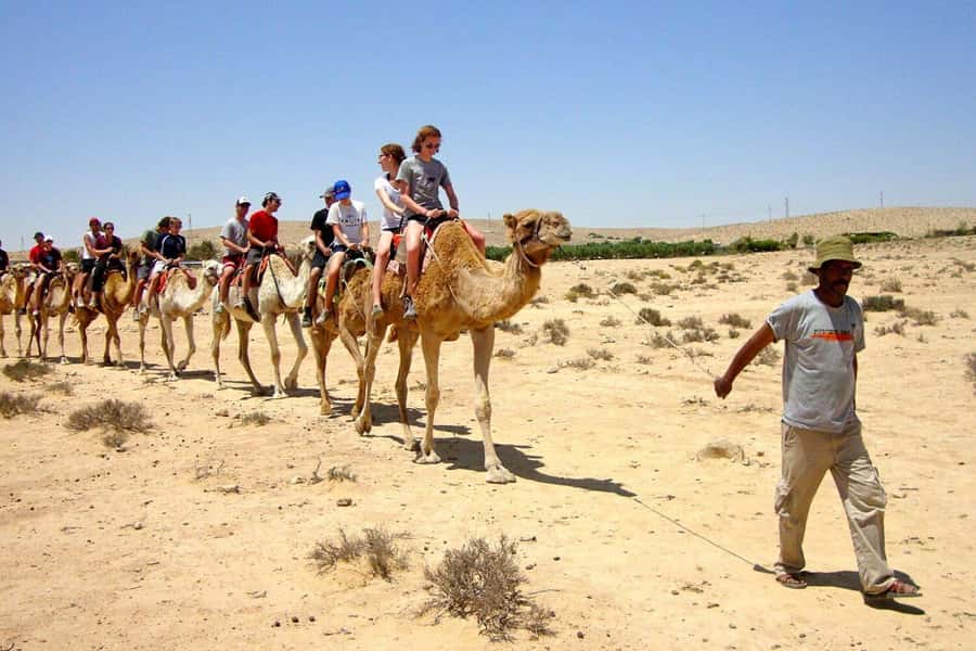 Agadir/Taghazout: Camel Ride with Tea Drink and Transfers - The countryside route and what you may see