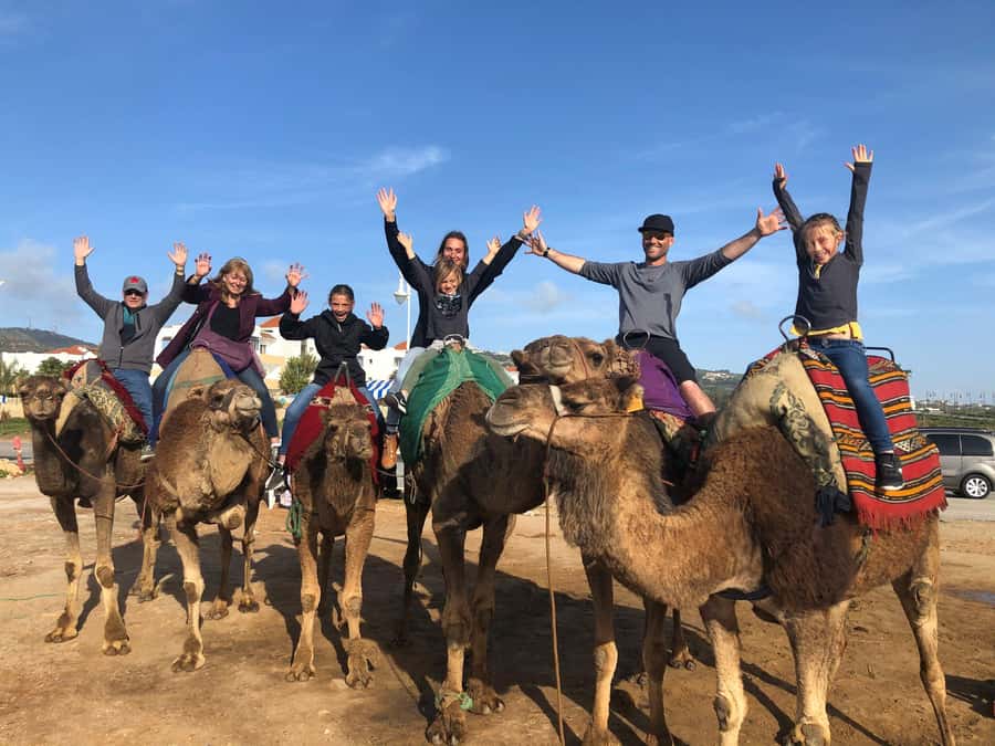 Agadir/Taghazout: Camel Ride with Tea Drink and Transfers - The flamingo stop is a bonus, not a guarantee of close views