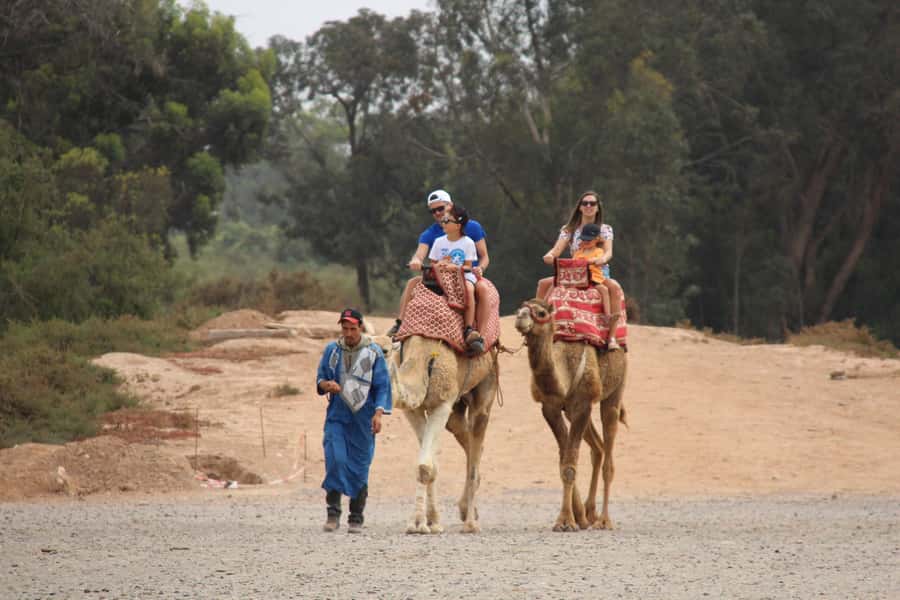 Agadir/Taghazout: Camel Ride with Tea Drink and Transfers - How this compares with a resort camel ride