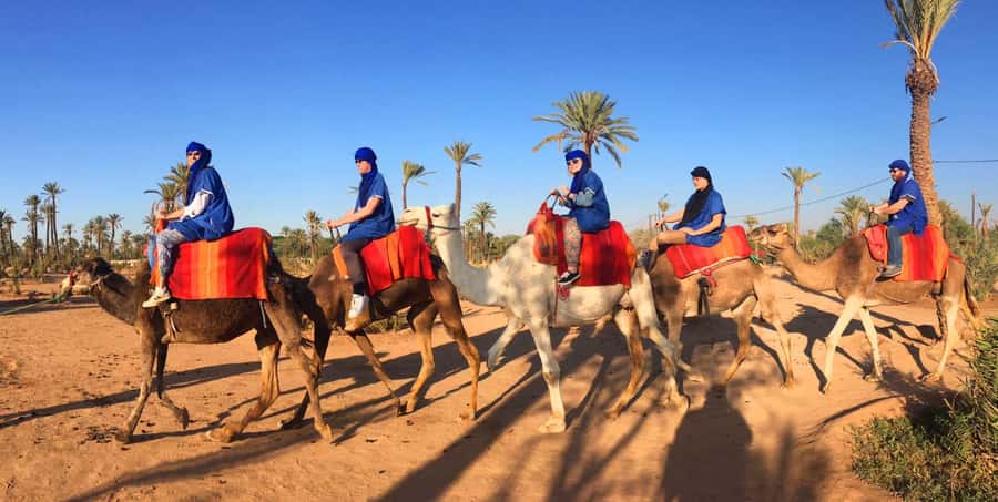 Agadir/Taghazout: Camel Ride with Tea Drink and Transfers - Hotel pickup makes a $21 activity easier