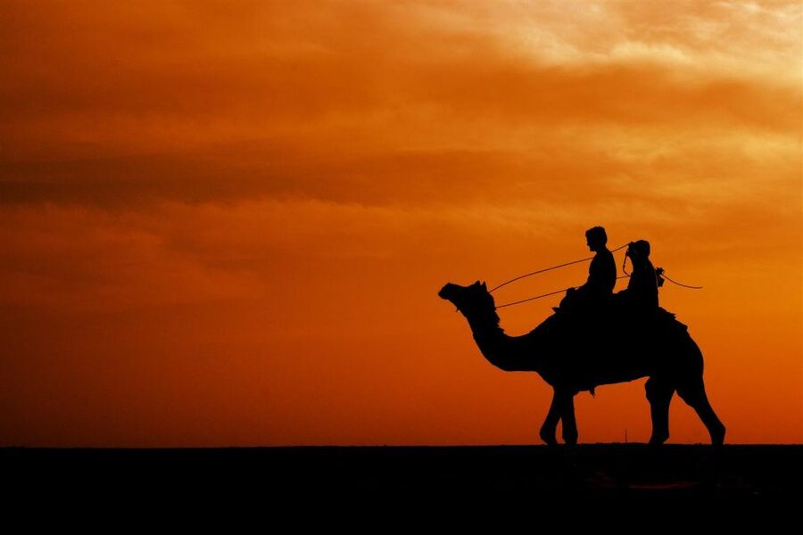 Agadir/Taghazout: Camel Rides with Tea Drink and Transfers - Practical tips for a smoother ride
