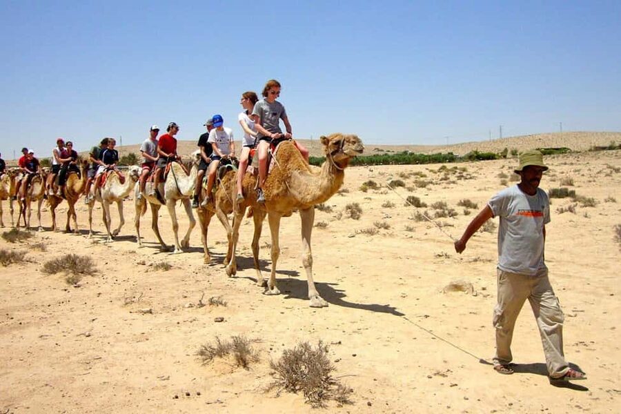 Agadir/Taghazout: Camel Rides with Tea Drink and Transfers - Sunset light and photographs along the way